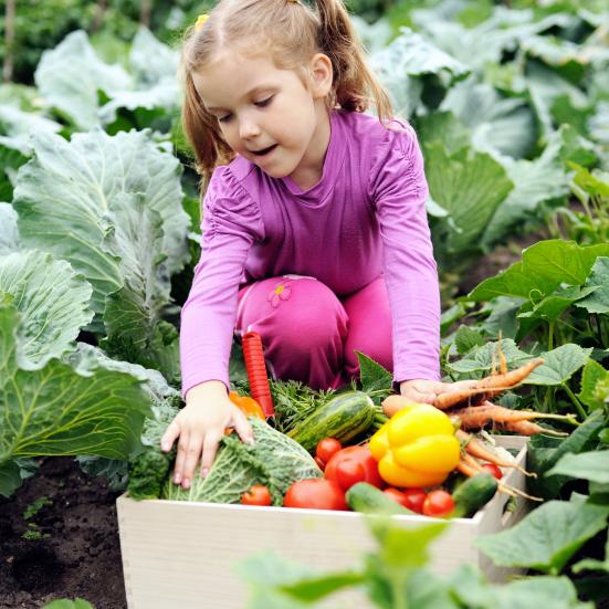 Kom med ud og leg - i køkkenhaven