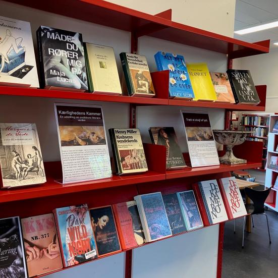 Lad dig friste af forførende litteratur