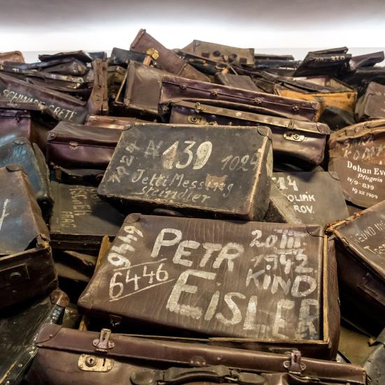 Læs om antisemitisme på faktalink.dk