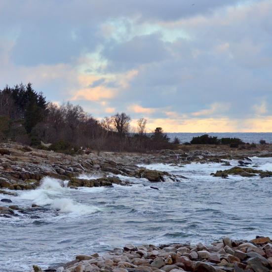 Genfind fordybelsen - lørdag d. 7. februar 2026