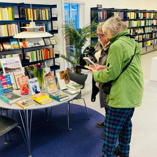 Fra bibliotekets arrangement "Genfind fordybelsen", februar 2026