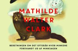 Det blinde øje af Mathilde Walter Clark