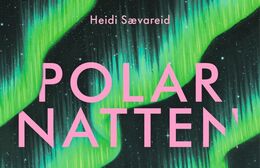 Polarnatten af Heidi Sævareid