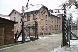 Auschwitz-dagen: International mindedag for ofrene for Holocaust og folkemord