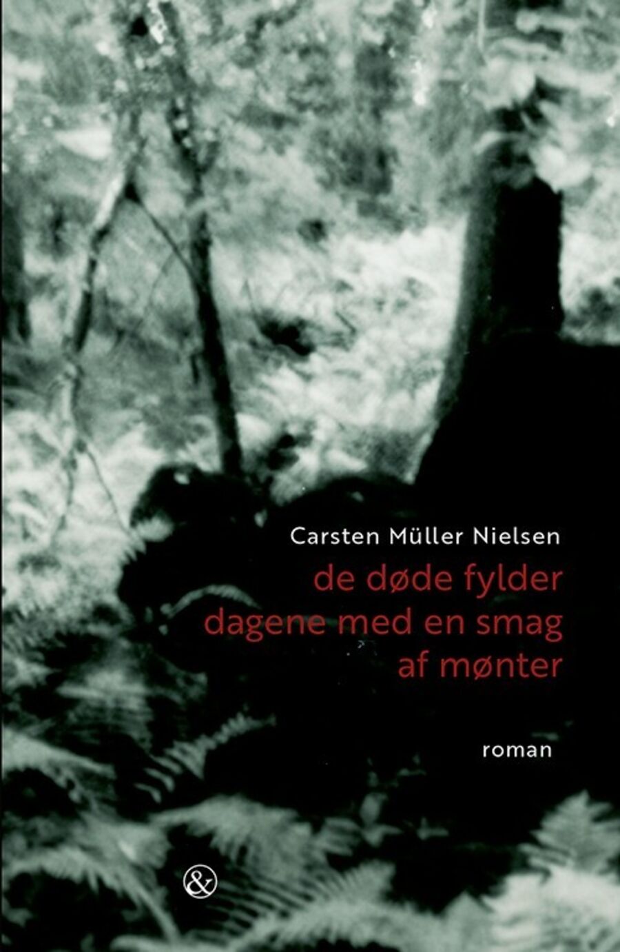 DRs romanpris 2020 til Carsten Müller Nielsen