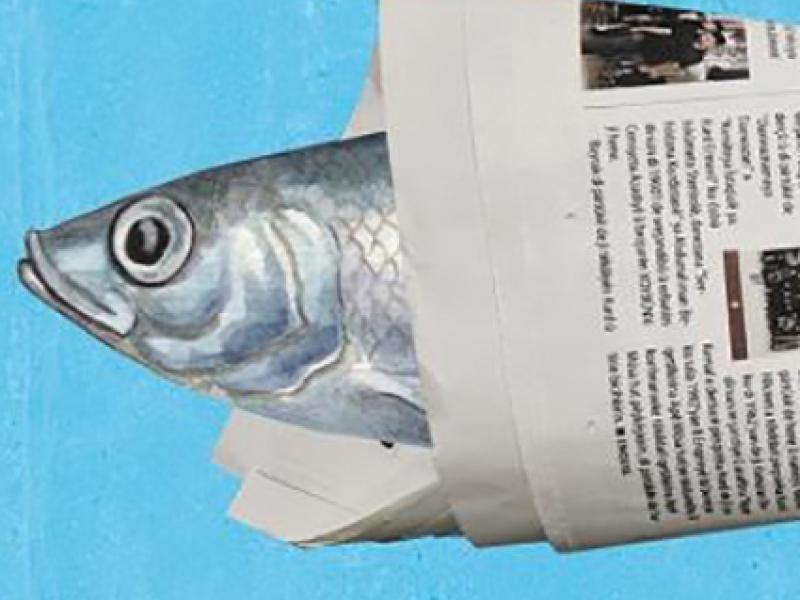 Adgang til alverdens aviser på PressReader