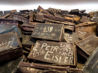 Læs om antisemitisme på faktalink.dk