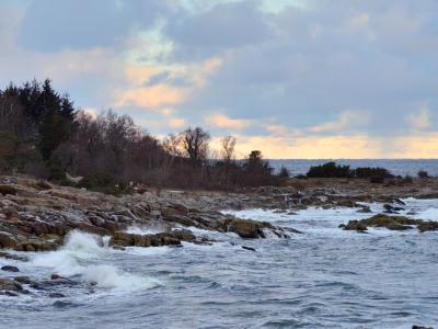 Genfind fordybelsen - lørdag d. 7. februar 2026