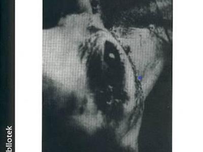 'Historien om øjet' af Georges Bataille