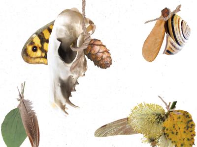 Udstilling: Amuletter på Aakirkeby Bibliotek, 28.4.-30.5.26