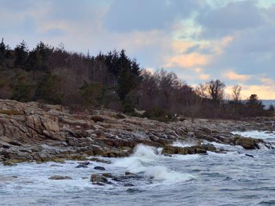 Genfind fordybelsen. 21.11.26
