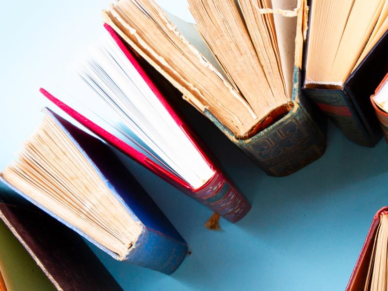 Rønne: Vi anbefaler romaner for voksne