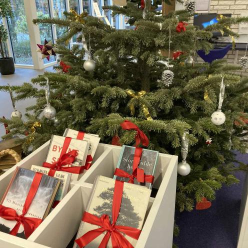 Lån god julelæsning og se bibliotekets bogjulekalender på Facebook og Insta!