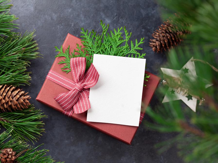 Vi anbefaler boggaver til voksne