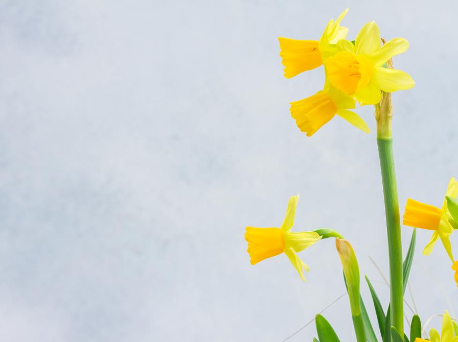 Sådan holder vi åbent i påskeugen 2025