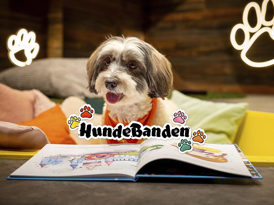 Det er hyggeligt at læse op for de pelsede venner