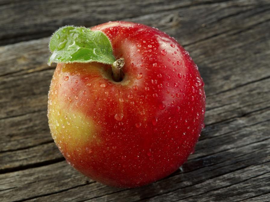 Pop-up bibliotek til Høstmarked på Melstedgaard d. 16.10.