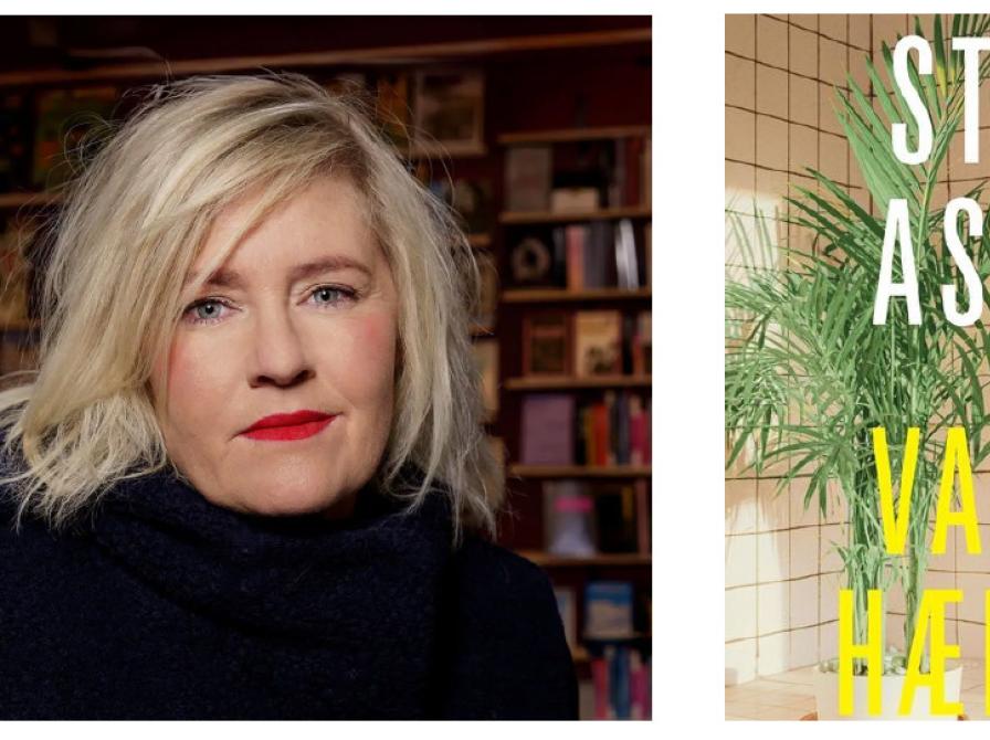 Forfattermøde med Stine Askov d. 30. oktober