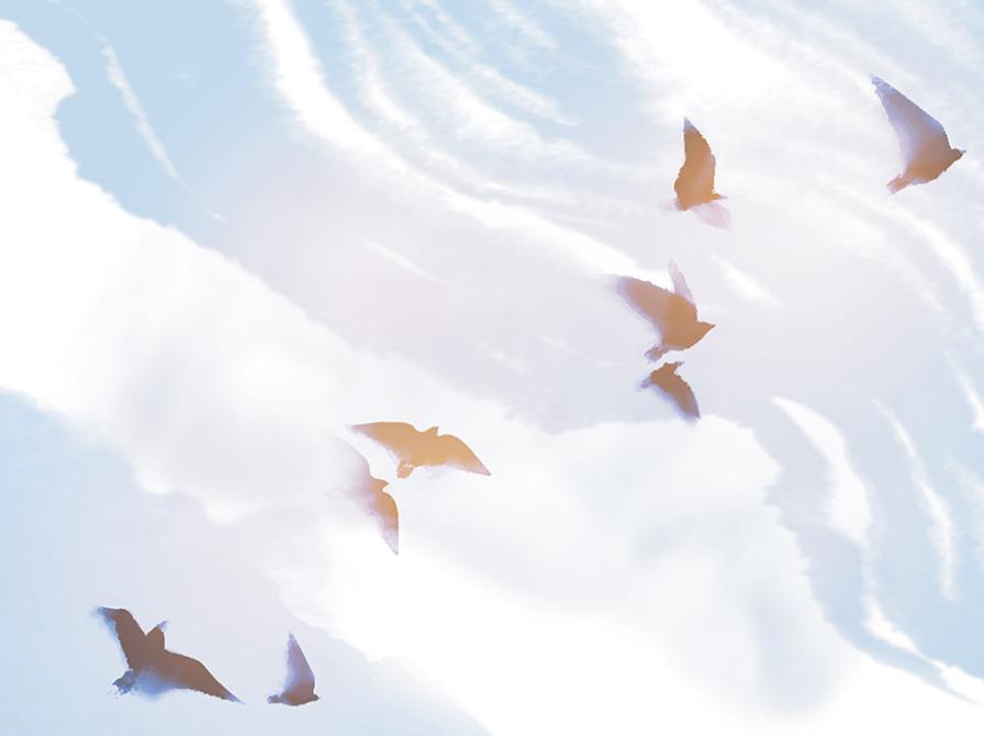 Højtlæsning på Nexø Bibliotek i september