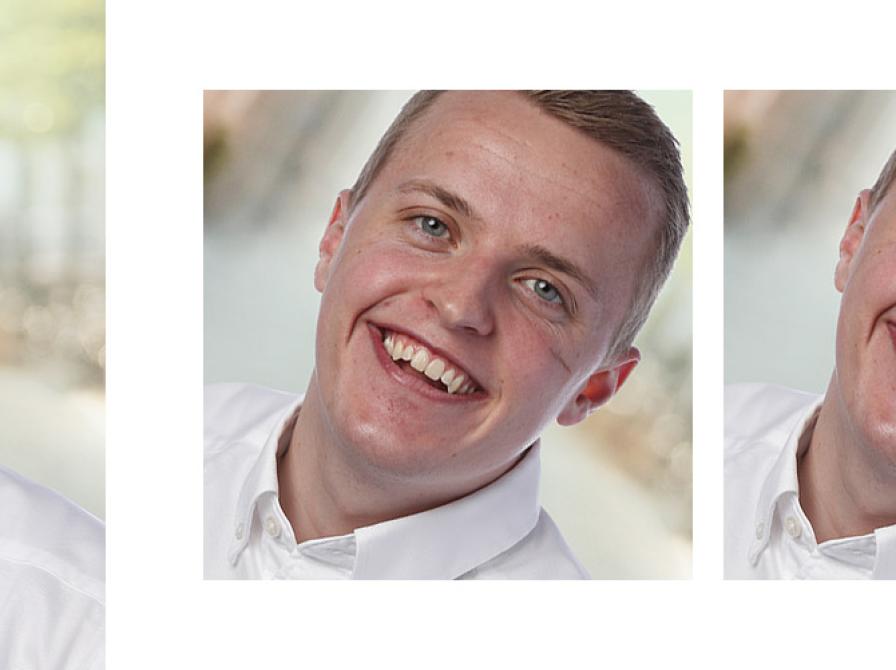 Hvilke bøger 'stemmer' Sebastian Bærnthsen på?