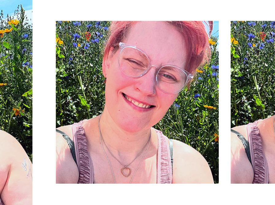 Hvilke bøger 'stemmer' Diana Brandt Pedersen på?