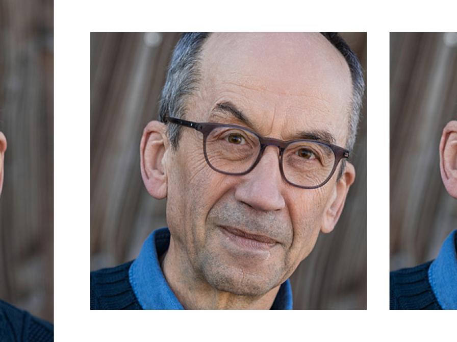 Hvilke bøger 'stemmer' Niels Bertelsen på?