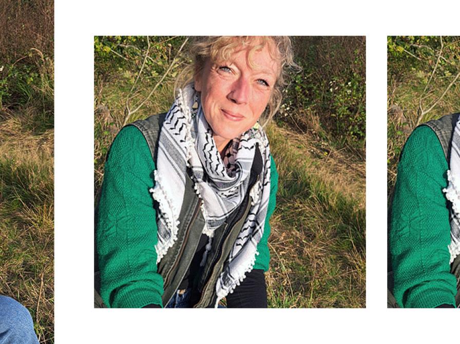 Hvilke bøger 'stemmer' Stine Zink Kaasgaard på?