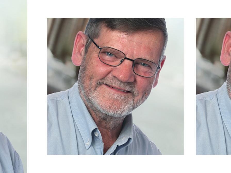 Hvilke bøger 'stemmer' Niels Plum på?