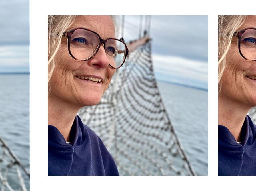 Hvilke bøger 'stemmer' Benedikte Gyes på?