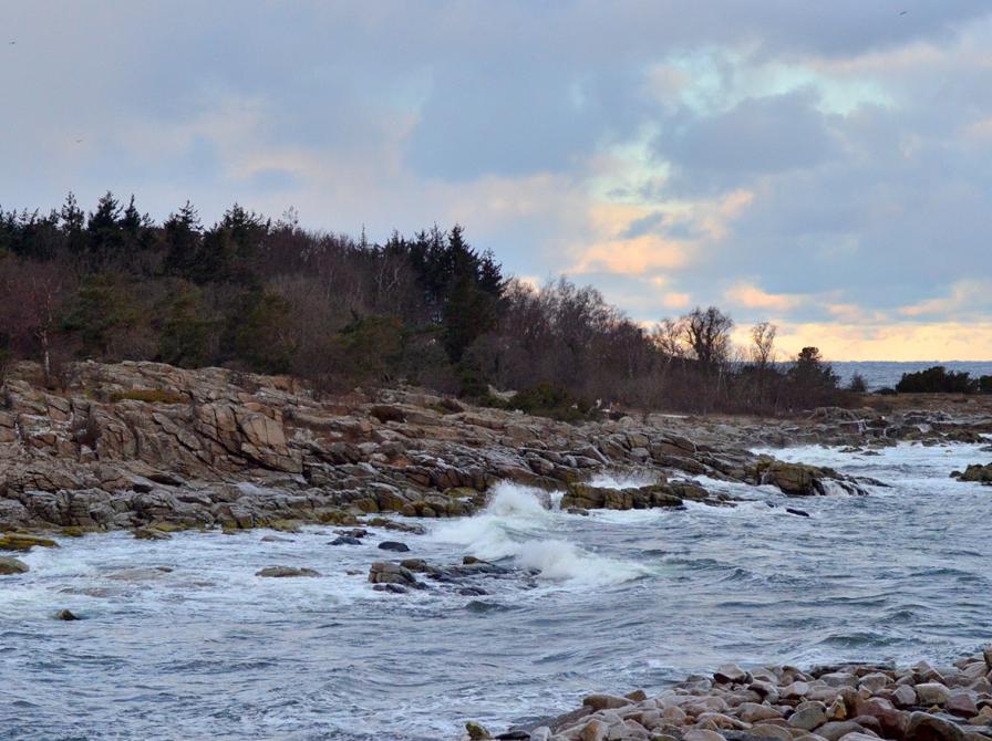 Genfind fordybelsen - lørdag d. 7. februar 2026